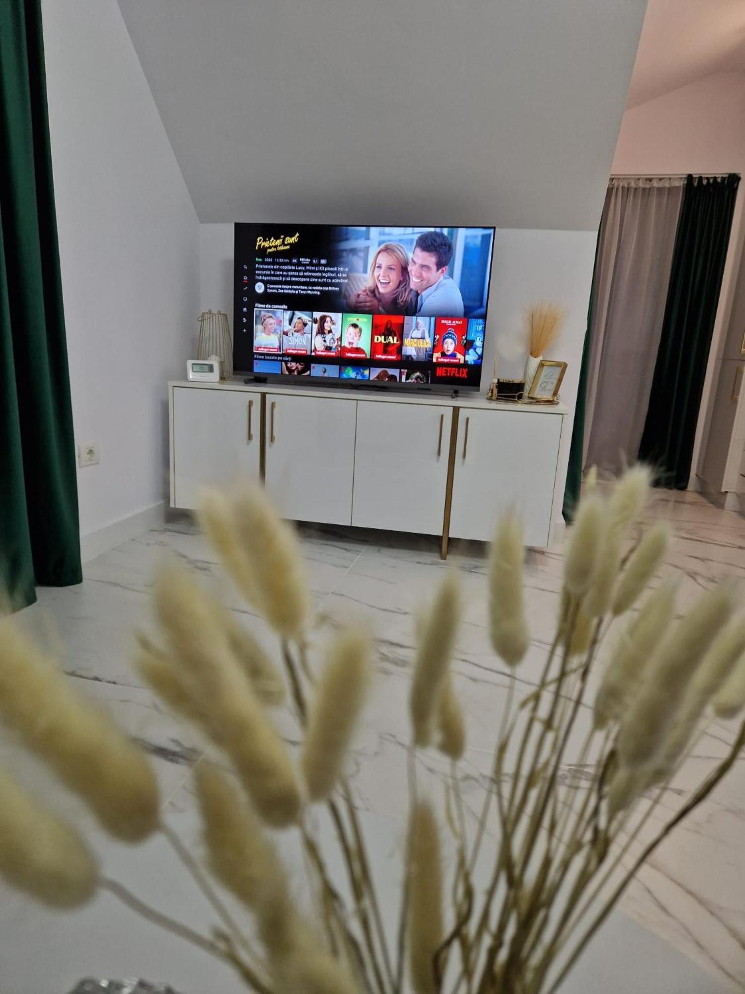 Gold Tag Apartament 蒂米什瓦拉 外观 照片